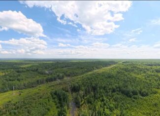 58.8 Wooded Acres with Pond – Pittsfield, Maine